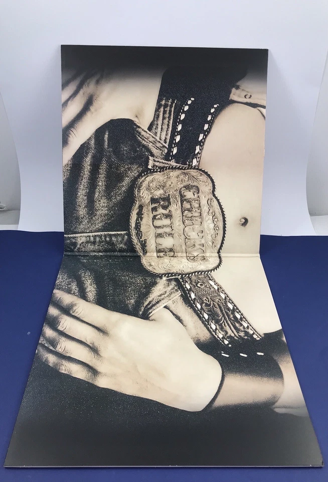 DIXIE CHICKS-HOME DOUBLE VINYL RECORD - image 4 of 4