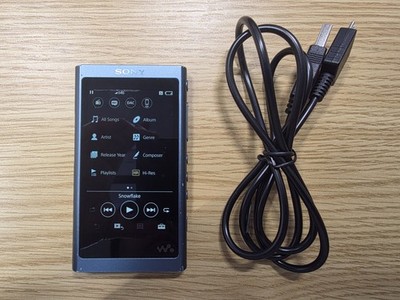 Sony NW-A55 Walkman Digital Audio Player - Blue for sale online | eBay