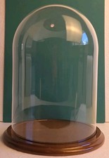 12  x8  Glass Dome Bell Jar/Cloche Specimen Display Case Wood Base Clear EUC 