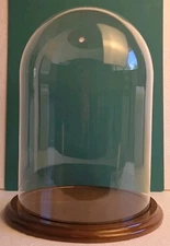 12”x8” Glass Dome Bell Jar/Cloche Specimen Display Case Wood Base Clear EUC!