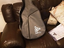 Semi Acoustic Guitar  New With Gig Bag