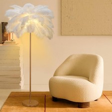 Ostrich Feather Floor Lamp with Color Temperature