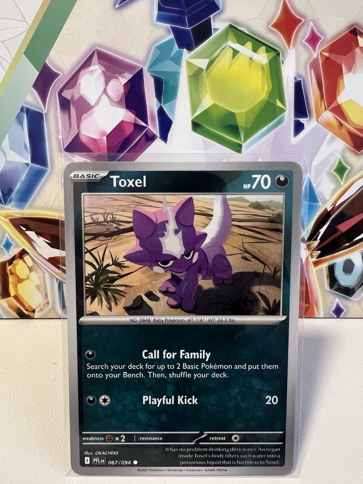 Toxel 067/094 Common Regular - Pokemon TCG Phantasmal Flames - NM