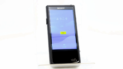 SONY Walkman NW-ZX507 64GB Black Good Working Condition Working