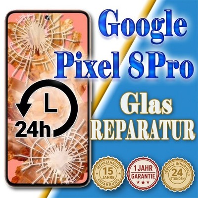 Google Pixel 8 Pro  24 St. Express!   Display Reparatur Glas Austausch