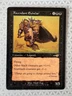 MTG Magic the Gathering Ascendant Evincar Nemesis Rare LP