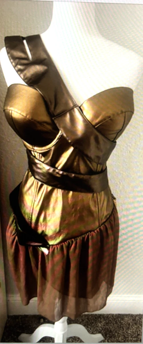 Wonder Woman Gold Costumes for Women | eBay
