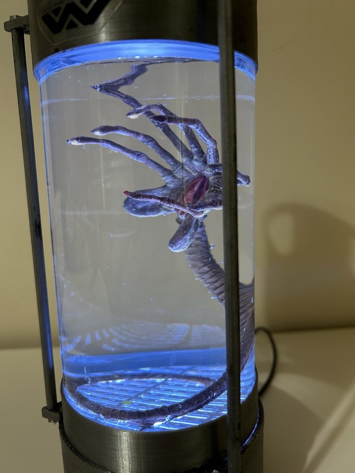 Alien Facehugger Stasis Tube Lamp LED Remote Control 16 Colour | eBay