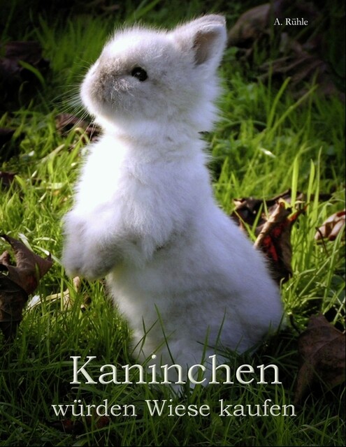 Thumbnail - Kaninchen Würden Wiese Kaufen Andreas Rühle