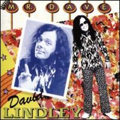 Mr. Dave by David Lindley: New