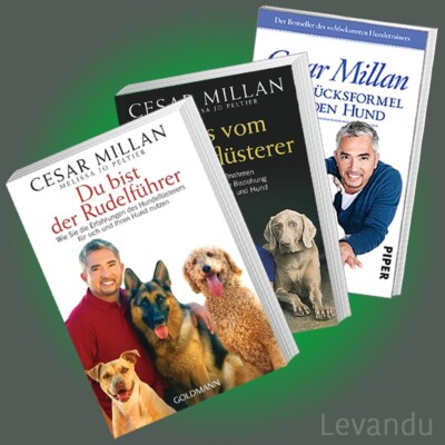 TIPPS VOM HUNDEFLÜSTERER + DU BIST DER RUDELFÜHRER + GLÜCKSFORMEL | CESAR MILLAN