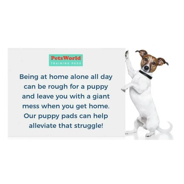 Gigantic Dog Training & Potty Pads (36x36 inch) 150 Ct eBay