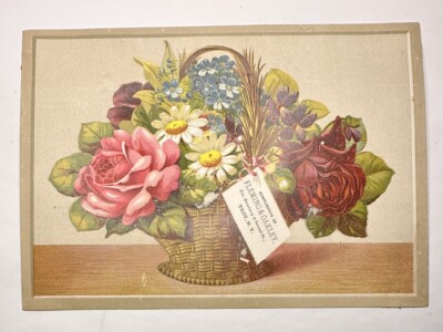 LARGE VICTORIAN TRADE CARD Fleming & Oakley Broadway & 2nd St Troy NY B70