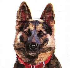 (2) Two Paper Beverage Napkins for Decoupage/Mixed Media - Champ the Dog Shepard