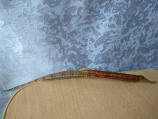 RARE Vintage hunting Fish decor statue figurine