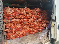 20 NETS OF NATURAL FIREWOOD KINDLING STICKS  2.64 per lighter