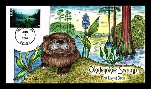 DR JIM STAMPS US COVER OKEFENOKEE SWAMP AIR MAIL FDC COLLINS HAND PAINTED