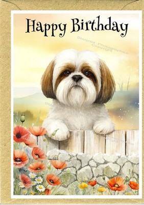 Geburtstagskarte Shih Tzu Hund (4''x 6'') - innen leer - von Starprint