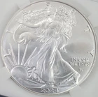 2024-P US Uncirculated Silver Eagle-1 oz .999 Fine Silver-BU Condition