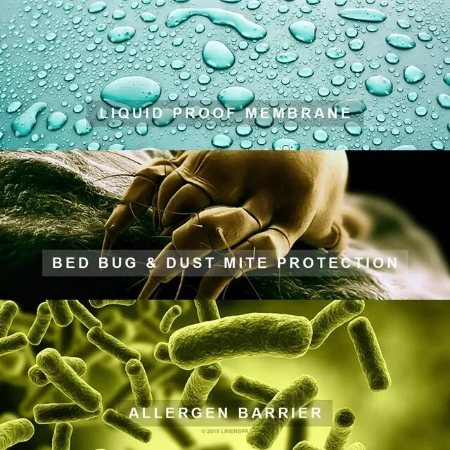 Full Size, White Linenspa Zippered Box Spring Encasement Protector, Protect Bed - Image 4 of 4