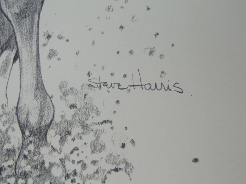 Steve Harris Carreras de Caballos Derby Arte Original Firmado Boceto Ecuestre Realismo Foto 2 de 4