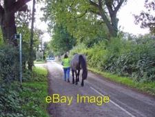 Photo 6x4 Backford - Gordon Lane Backford: Gordon Lane. Belgian Brabant ( c2006