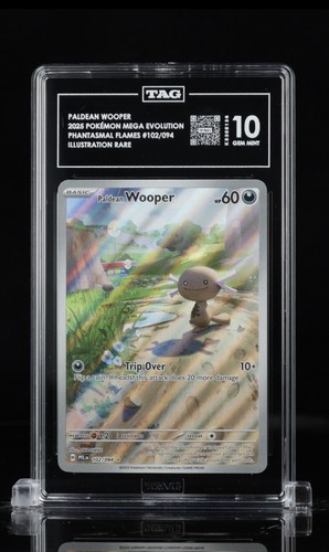 Paldean Wooper graded TAG 10 for sale on eBay