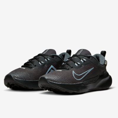 Nike Women's Juniper Trail 2 Gore-Tex Shoes Black (FB2065-001