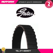 5544XS Toothed Belt (BRAND-GATES)