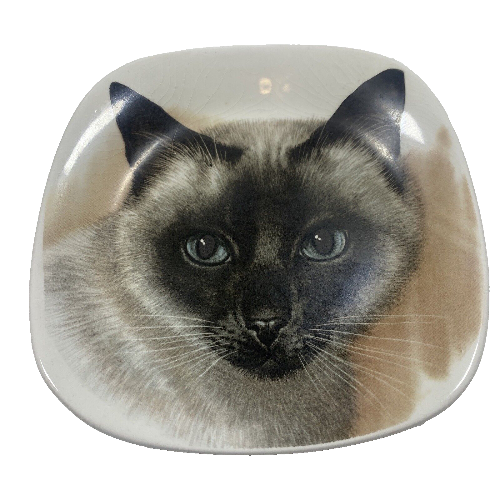 Vintage Crown Staffordshire Cat Bone China Plate England