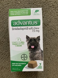 advantus flea soft chews