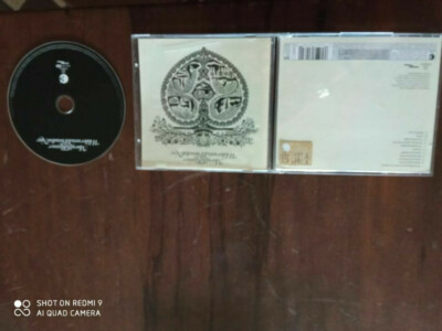 CD AUDIO: Wilderness Is Paradise Now  Morning Runner Formato: Audio CD 