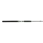 Shimano TREVALA PX CASTING, Saltwater, Jigging, Casting, Jig & Pop, 6'3", Lig...