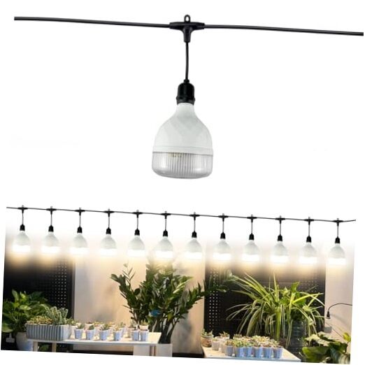 String, 12 Lights 33 Ft &ndash; High Power Full 300 Watts