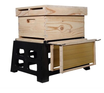 Beehive Stand,  Whit Frame Support Holder (10 Frames Langstroth Beehive).