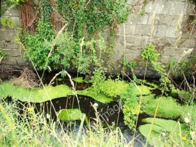 Foto 6x4 Goraghwood Schleuse, Newry Kanal (1) Jerrettspass als [[1183060]] um 2009