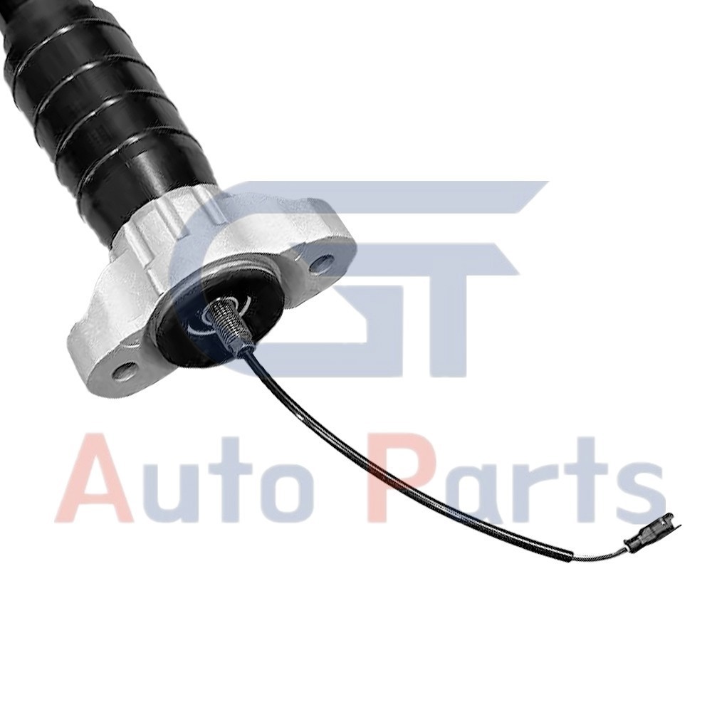 2X Rear LH & RH Air Shock Strut Assys For Maserati Levante M161 2017-2020 3.0L