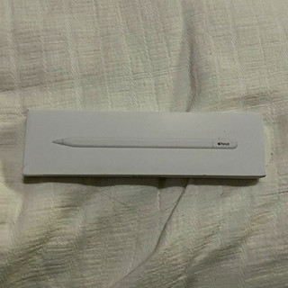 Apple Pencil (USB C) White Stylus Magnetic 10.9/11/12.9 A3085 Never Used