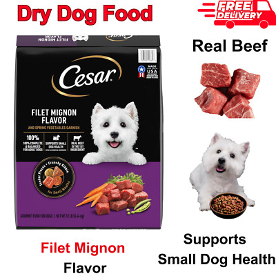CESAR Small Breed Dry Dog Food Filet Mignon Flavor and Spring Vegetables Garnish