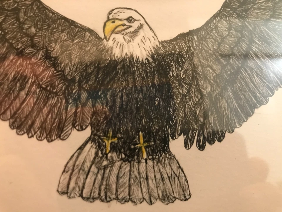 Framed and Matted Bald Eagle Pen and Ink Drawing, Original Artwork, Signed - Image 2 of 4