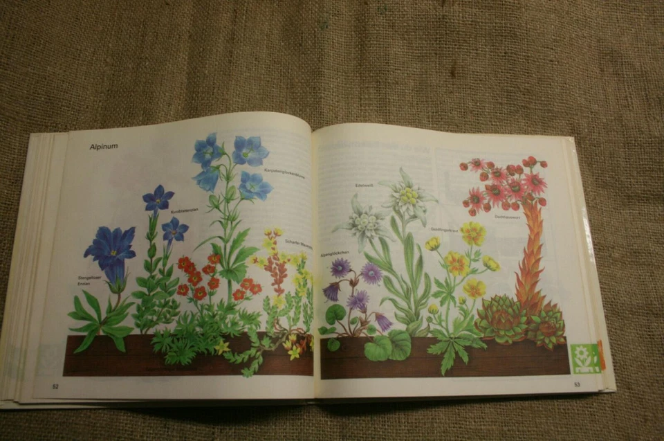 Gartenbuch Kindergarten Schulgarten Experimente Botanik gärtnern DDR 1986 - Bild 4 von 4