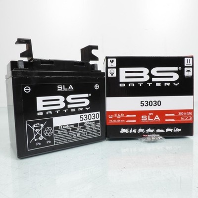 SLA-Batterie BS Battery für Auto 53030 / 12 V 31,6 Ah, neu