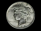 1922 Peace Silver Dollar / Circulated / Cleaned / See Description / (3/12-8)