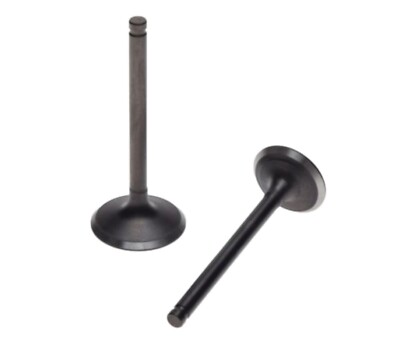 Ventile Auslass + Einlass Satz für Zylinderkopf ZS154FMI China Cross 110 125 4T