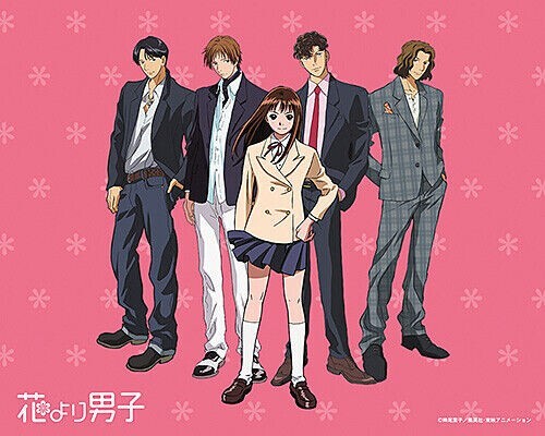 (未使用･未開封品)HANA YORI DANGO ANIME TV SERIES &amp; MOVIE Hana Yori Dango Anime TV Series and Movie [Import]: Amazon