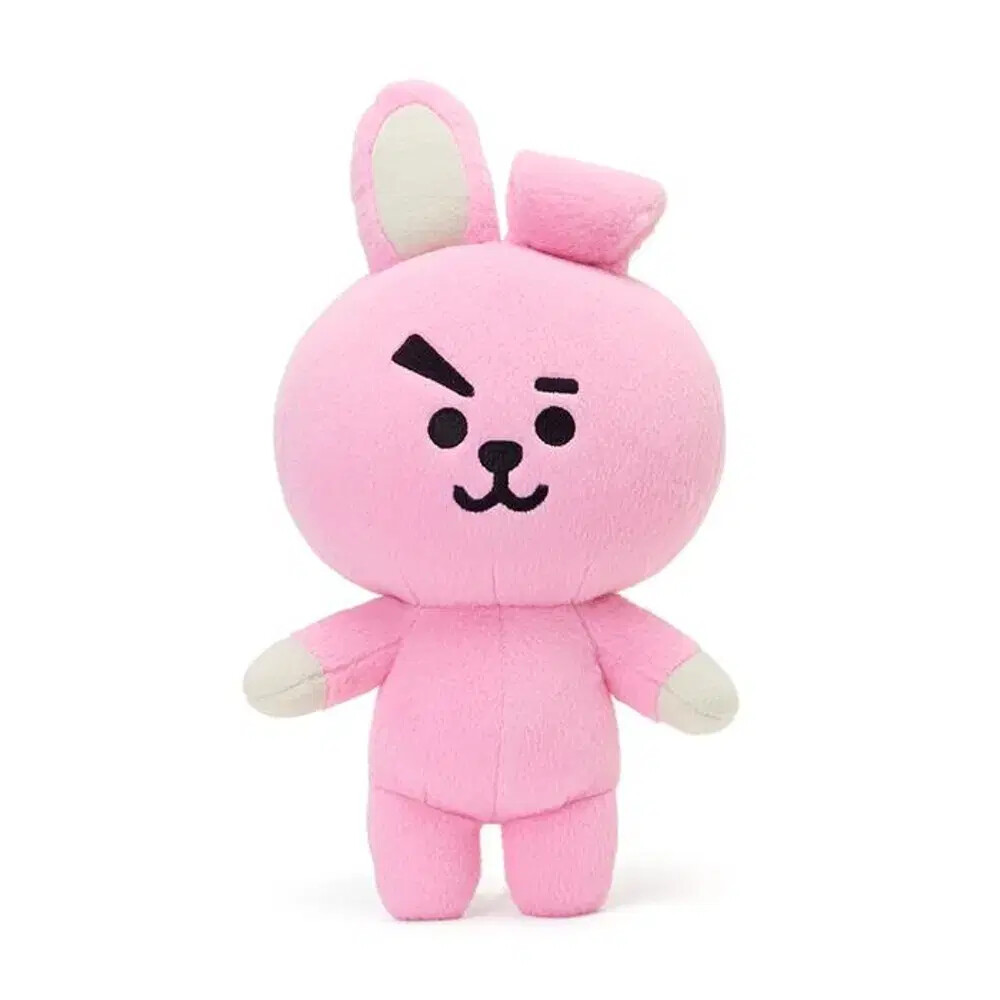 Cookie (jungkook) LINE FRIENDS BT21 COOKY medium standing doll | eBay