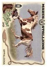 2019 Topps Allen and Ginter Mares and Stallions #MS7 Appaloosa Insert