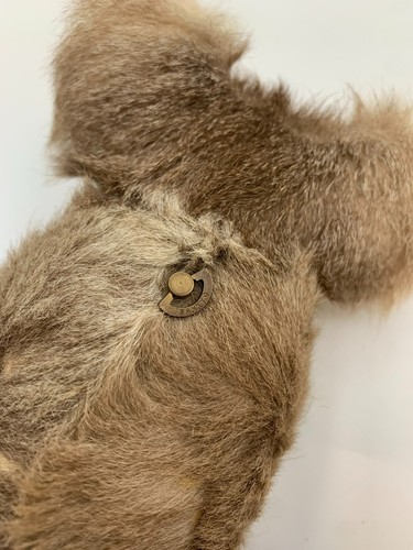 Vintage Musical Koala Bear Sankyo Wind-up 6” Brown Beige *Missing Baby - Picture 9 of 13