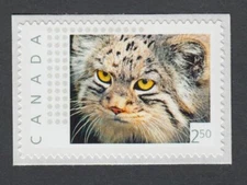 PALLAS ASIAN CAT = Picture Postage 2.50 Stamp MNH Canada p11sn5