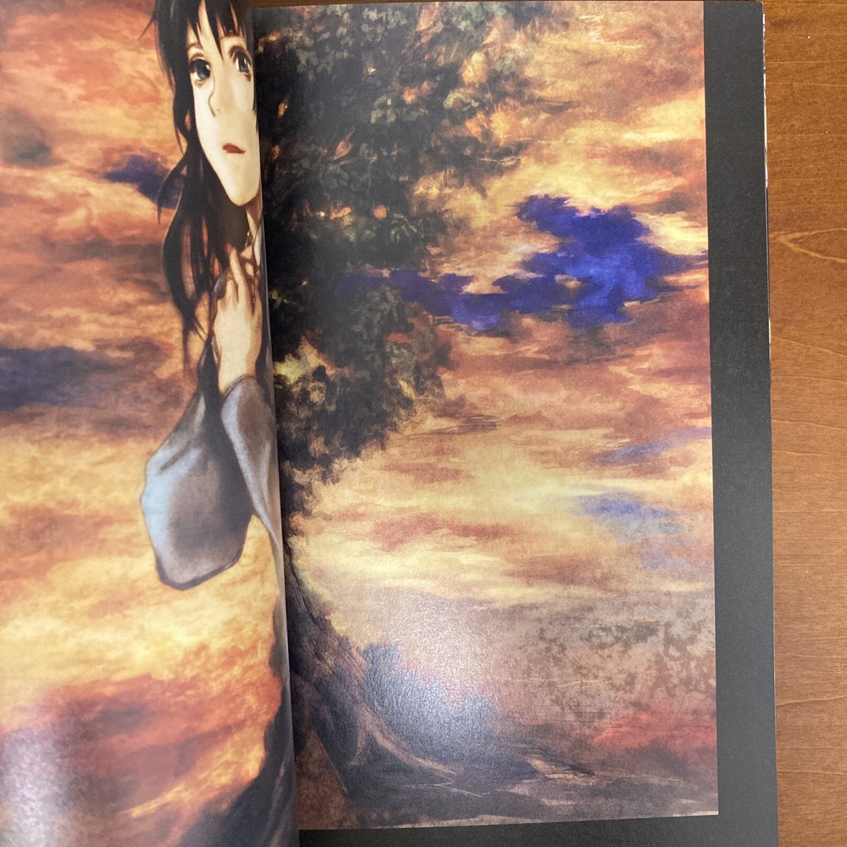 Yoshitoshi Abe 20th Anniversary Art Book Shukusai no Machi